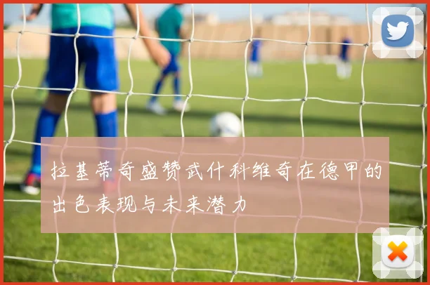 拉基蒂奇盛赞武什科维奇在德甲的出色表现与未来潜力